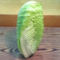 直立萵苣